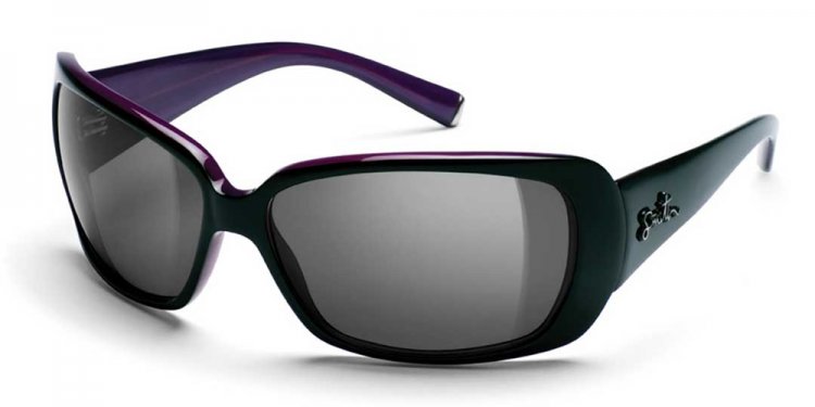 Smith SHORELINE Sunglasses