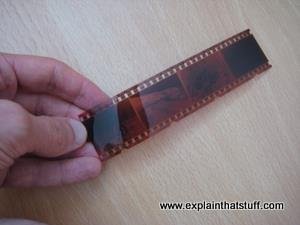 A piece of 35mm photographic film.