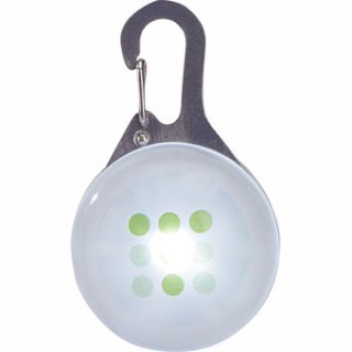 Spotlight, Training Lights
