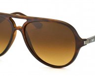 Ray Ban Sunglasses and Price
