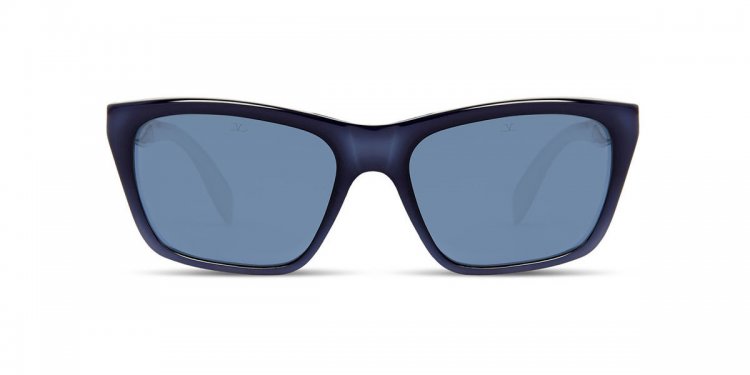 Blue shades Sunglasses